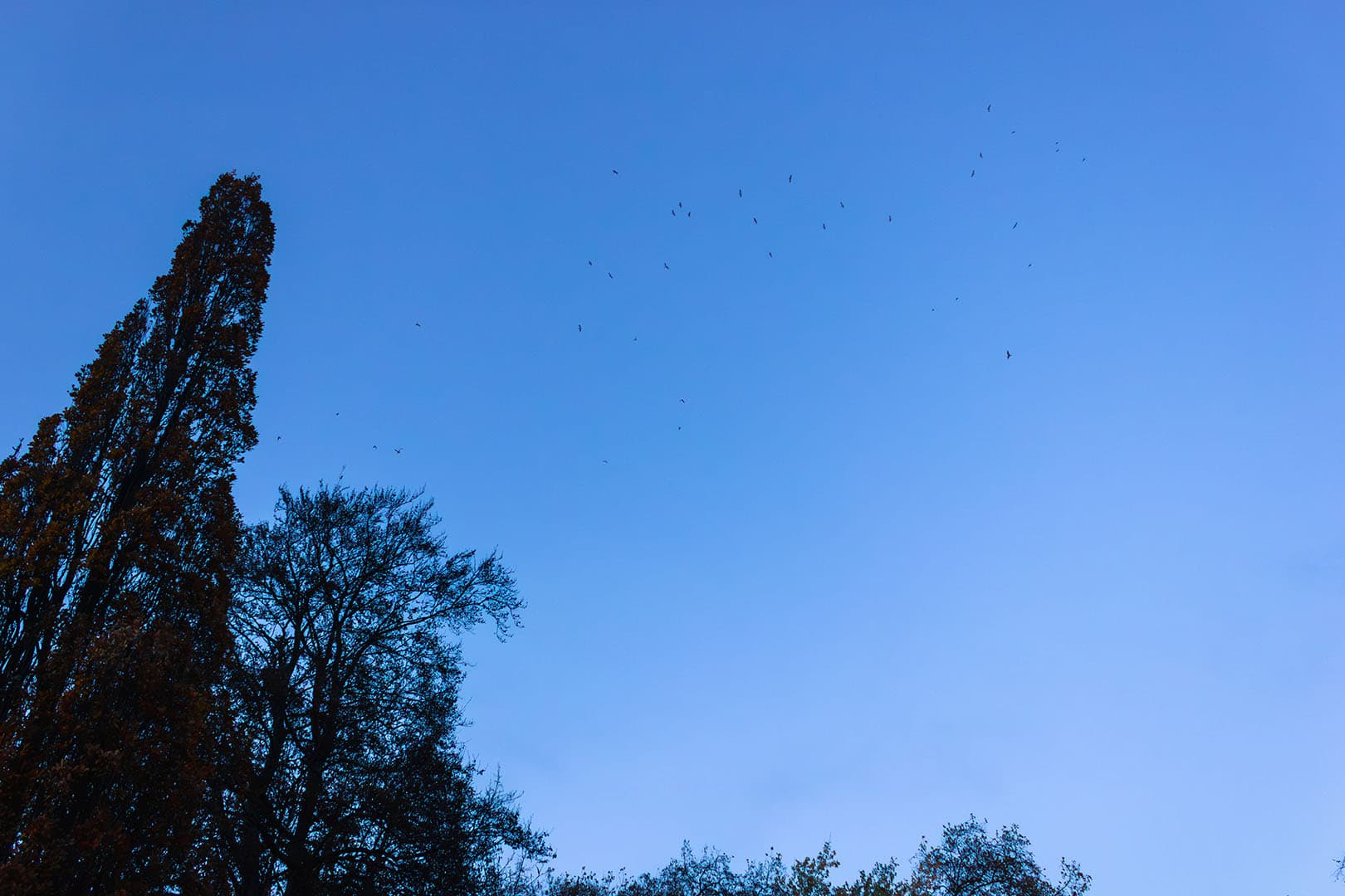 El cielo de Hyde Park